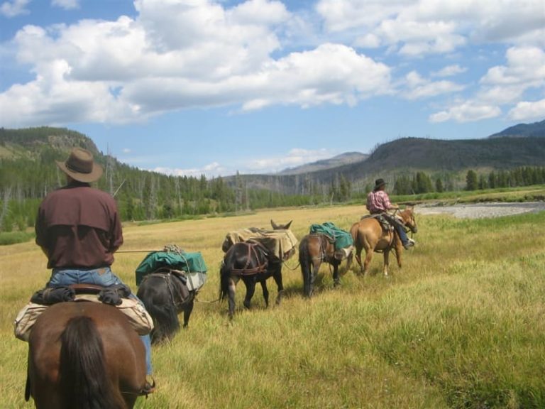 Jackson Wyoming bed and breakfast 08 768x576