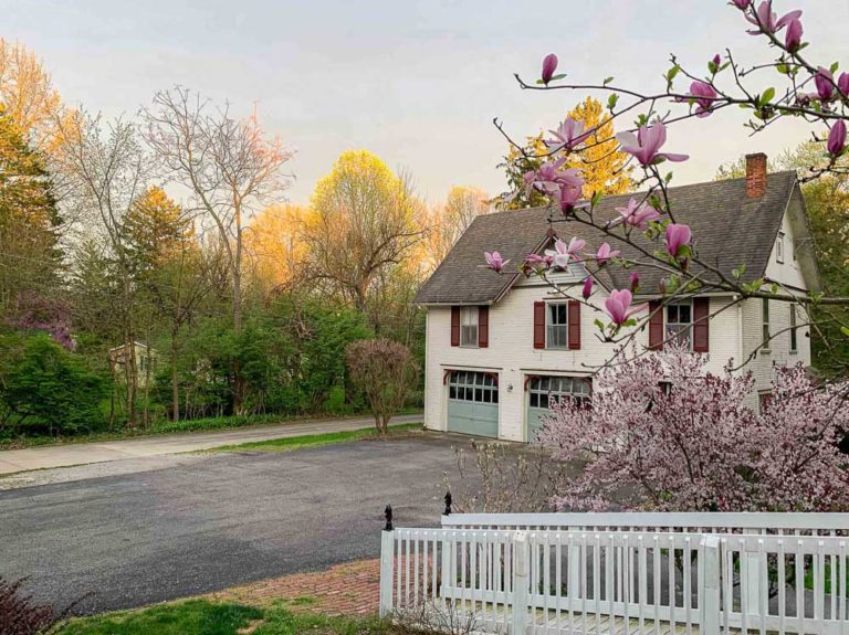 IMG 3383 adjusted 768x575