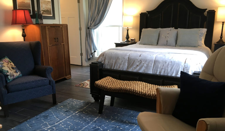 Azalea 190317 2400 NE IMG 3855E 768x450