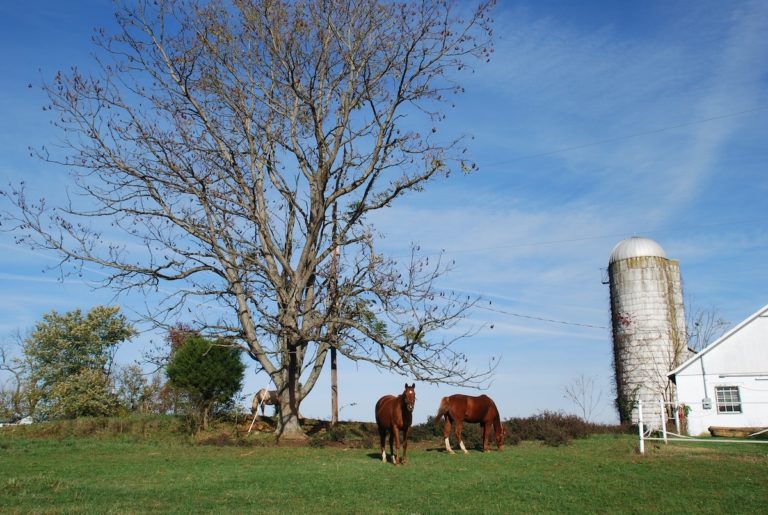 northern virginia bed and breakfast 03 768x515