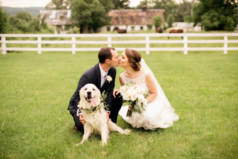 northern virginia bed and breakfast 07 768x512