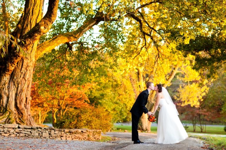 northern virginia bed and breakfast 08 768x512