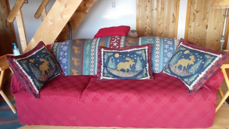 remote alaska bed and breakfast 08 768x432