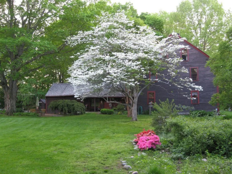 uconn bed and breakfast 04 768x576