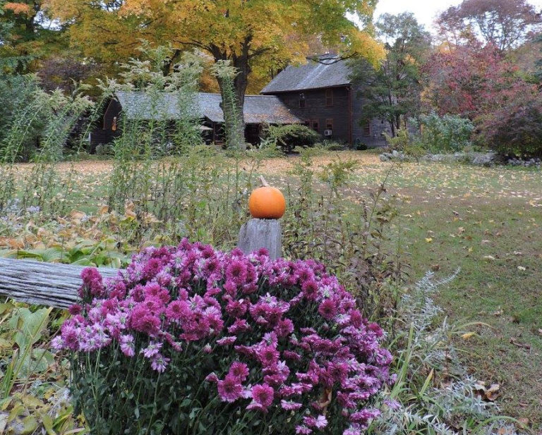 uconn bed and breakfast 09 768x617