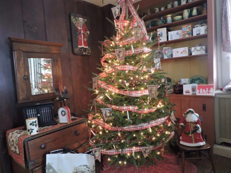 uconn bed and breakfast 16 768x576