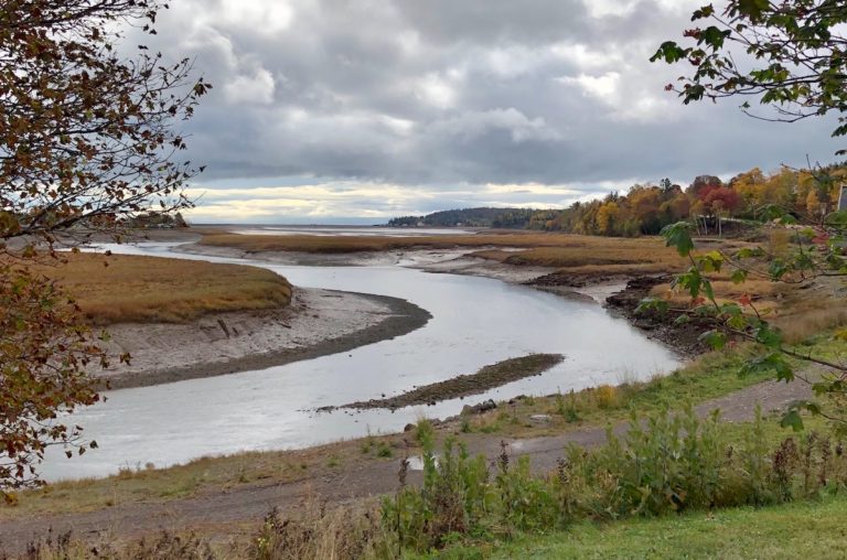 parrsboro bed and breakfast 05 768x508