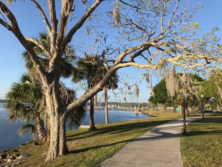 palatka bed and breakfast 16 768x576