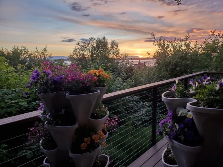 downtown anchorage bed and breakfast 16 768x576