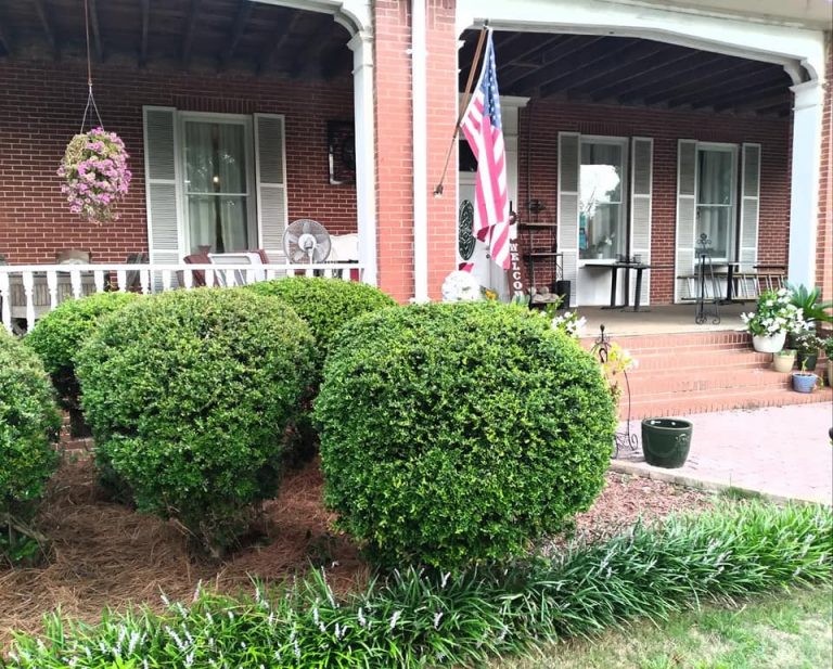 vienna georgia bed and breakfast 12 768x617