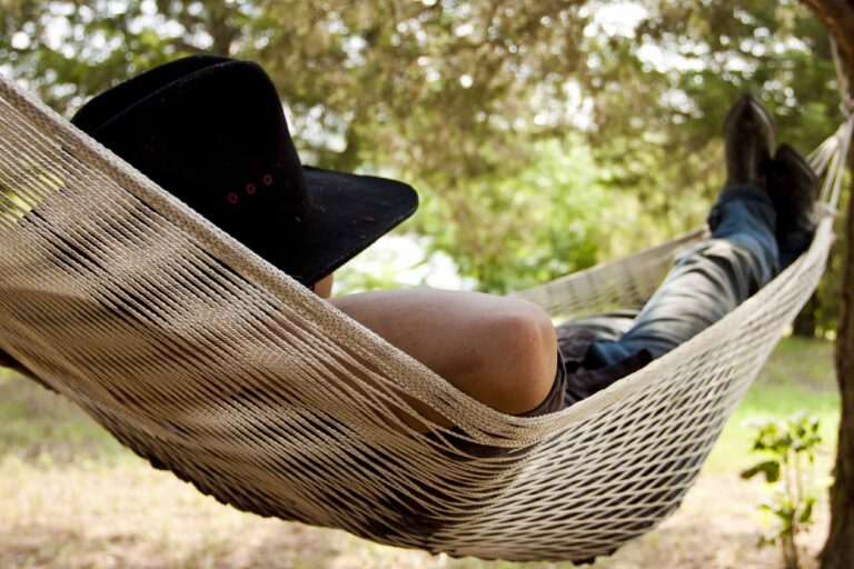 IMG 2010Meadowlake Ranch 768x512