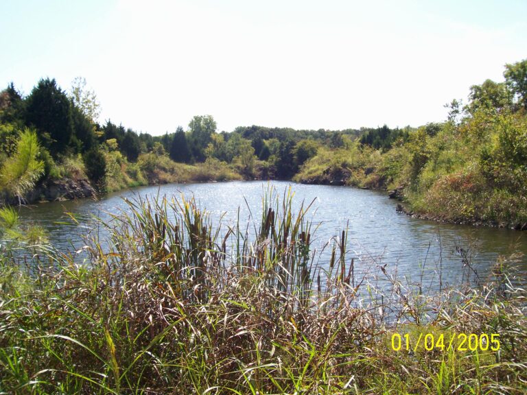 Meadowlake Ranch lake pic 768x576